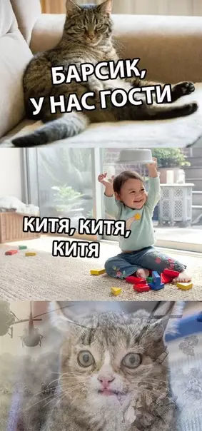 Смешная картинка №300616