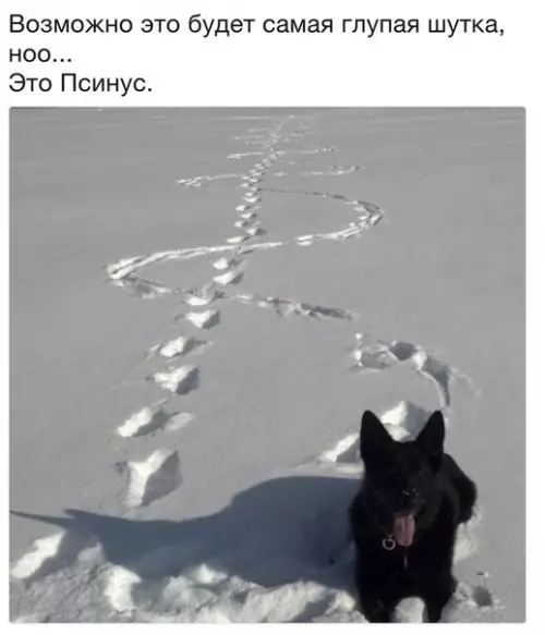 Смешная картинка №271681
