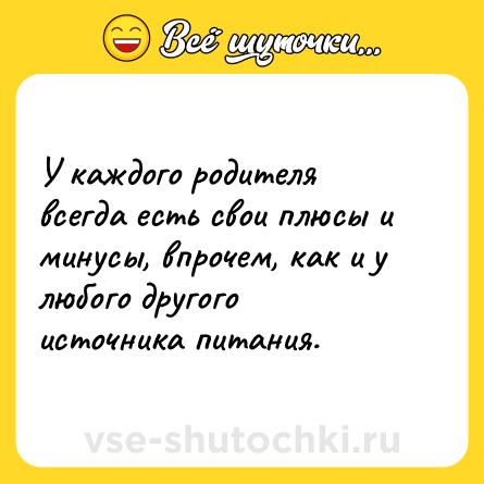 Шутка: У каждого родителя всегда есть свои плюсы и минусы, впрочем, как и у любого другого источника питания.