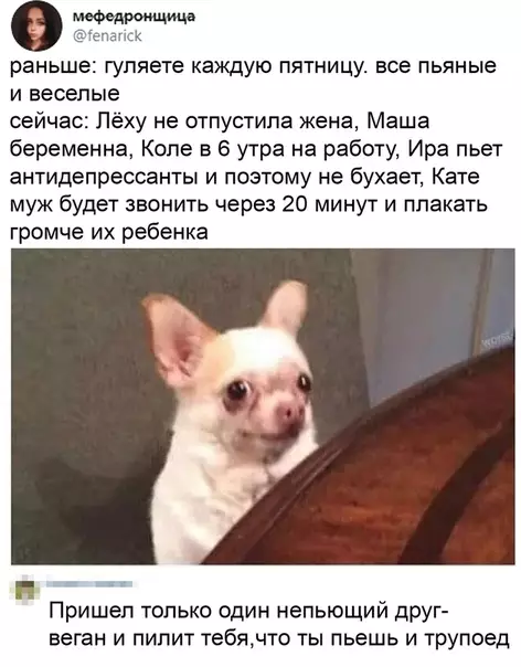 Смешная картинка №514878 Жизненная жиза