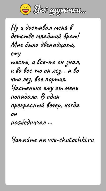 История: Ну и доставал меня в детстве младший брат! Мне было двенадцать, емушесть, и все-то он знал, и во все-то он