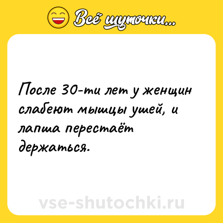 Шутка: После 30-ти лет у женщин слабеют мышцы ушей, и лапша перестаёт держаться.