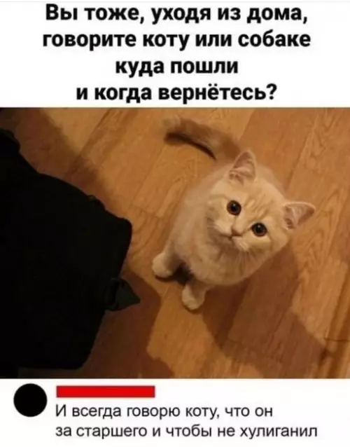 Смешная картинка №703324