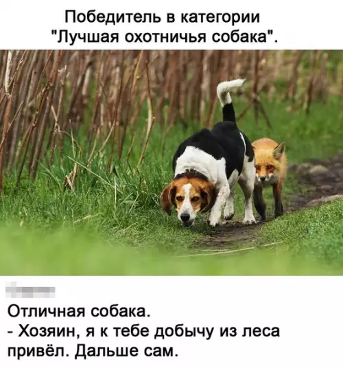 Смешная картинка №532961 Bзял шантажом и провокацией
