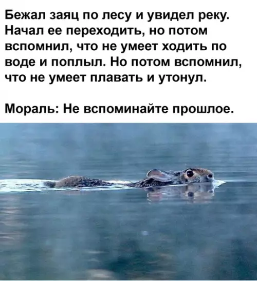 Смешная картинка №379275
