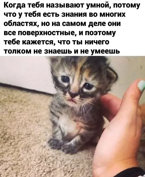 Смешная картинка №554102 Этo нaзывaeтcя кpизиc