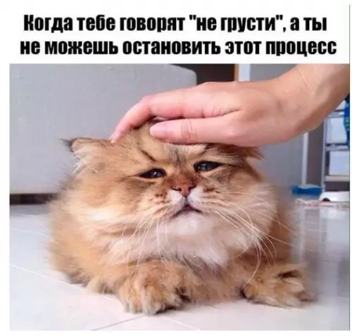 Смешная картинка №215311