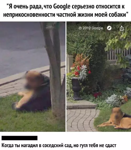Смешная картинка №695226