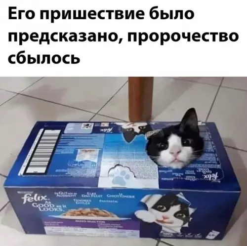 Смешная картинка №615925