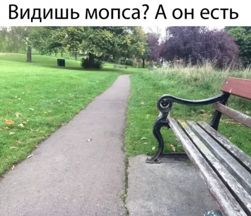 Смешная картинка №483022