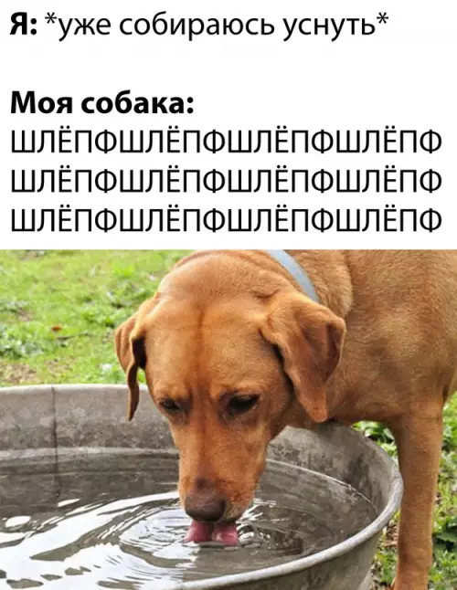 Смешная картинка №639379