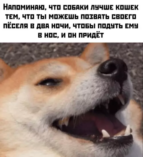 Смешная картинка №440519