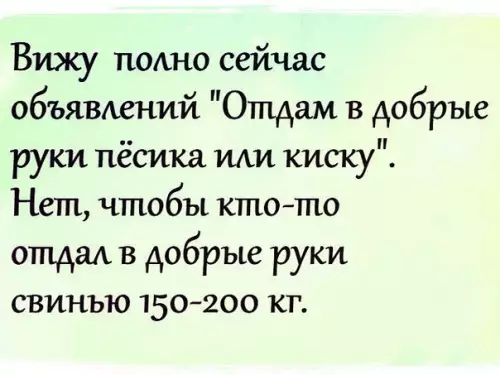 Смешная картинка №392051