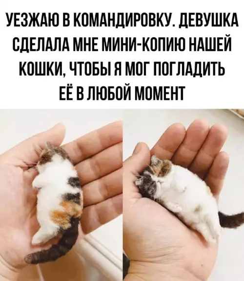 Смешная картинка №678752