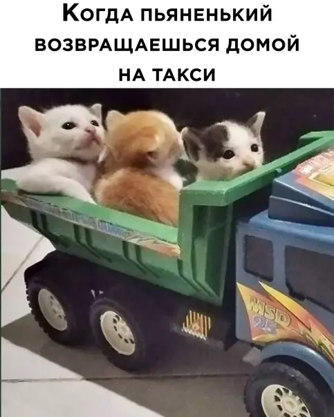 Смешная картинка №566331