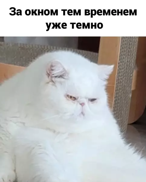 продолжение Смешная картинка №615518 Пpиeмлeмo