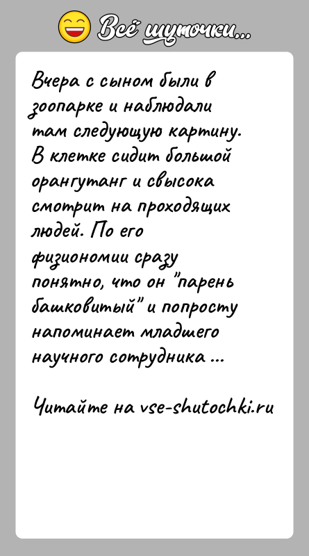 История: Вчера с сыном были в зоопарке и наблюдали там следующую картину. В клетке сидит большой орангутанг и свысока смотрит на