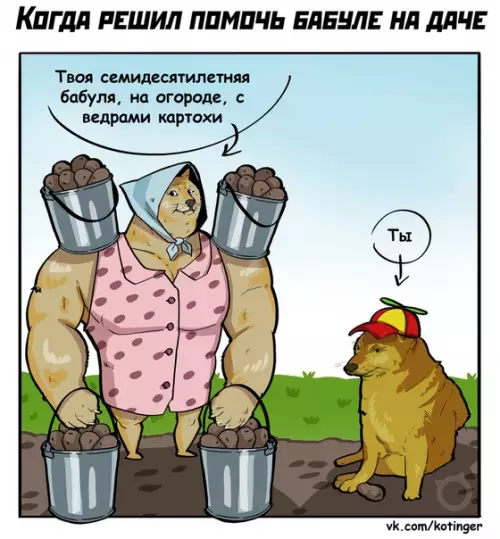 Смешная картинка №506663