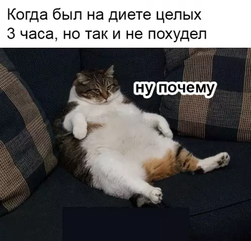 Смешная картинка №332435