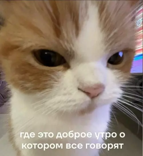 Смешная картинка №779216