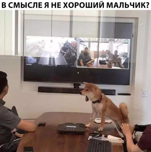 Смешная картинка №311437
