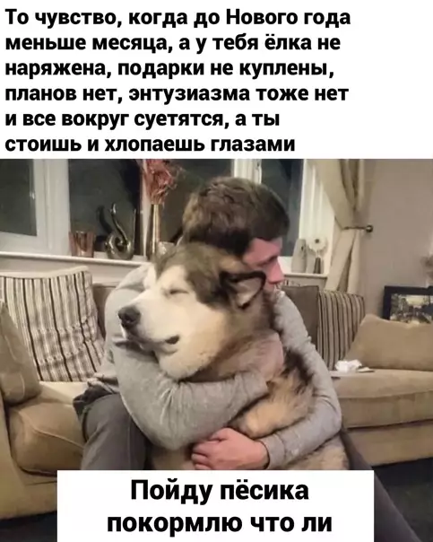 Смешная картинка №545532
