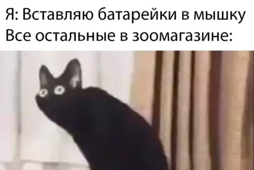 Смешная картинка №389636