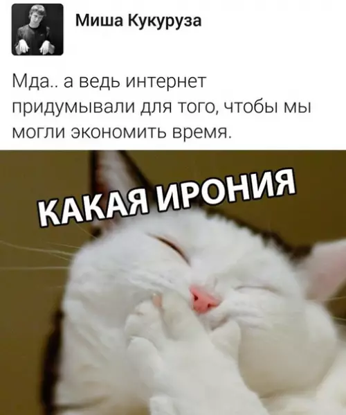 Смешная картинка №317895 интернет