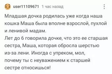 Сестра, которая обросла шерстью 🐈😂 - Младшая дочка родилась уже когда наша кошка Маша была вполне