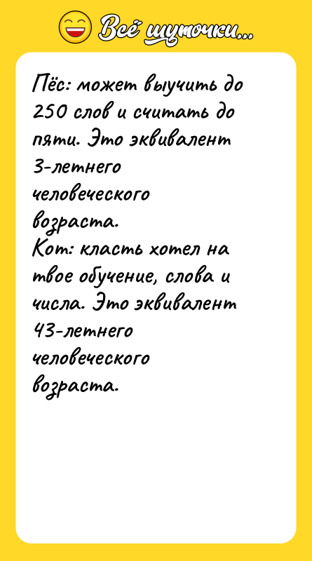 Пёс: может выучить до 250 слов и считать до пяти.