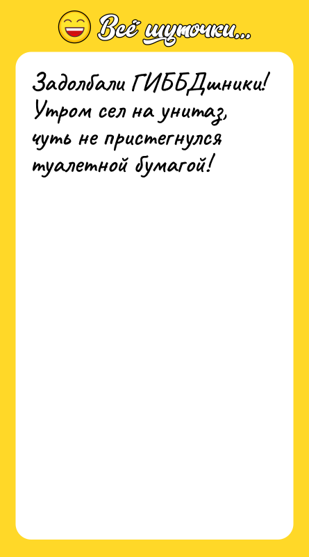 Задолбали ГИББДшники! Утром сел на унитаз, чуть не пристегнулся туалетной