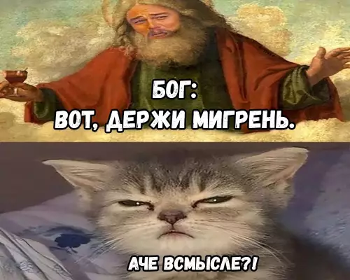 продолжение Смешная картинка №673788