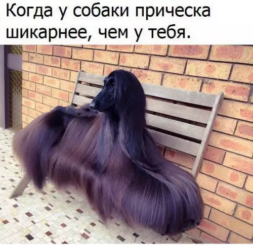 Смешная картинка №187845
