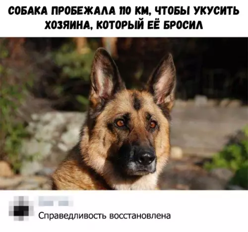 Смешная картинка №354232