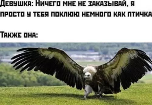 Смешная картинка №576586 девушка