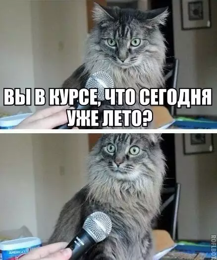 Смешная картинка №186878