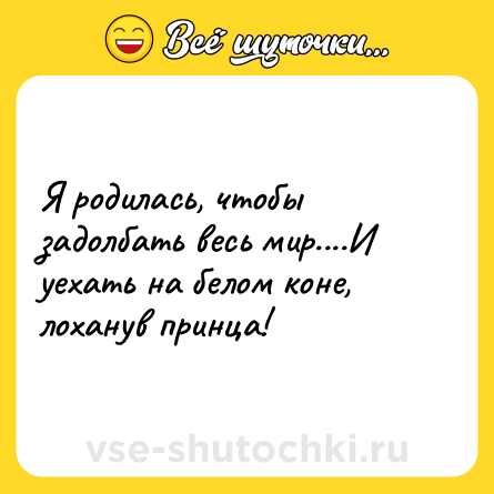 Шутка: Я родилась, чтобы задолбать весь мир....И уехать на белом коне, лоханув принца!