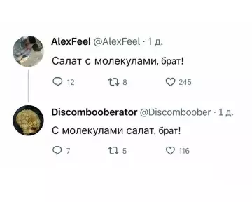 Салатная философия уровня бог 🥗 - AlexFeel: Салат с молекулами, брат! Discombooberator: С молекулами салат, брат!