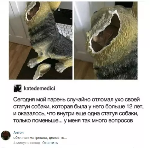 Смешная картинка №284773 собаки