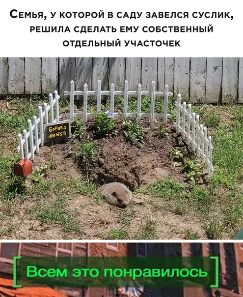 Смешная картинка №504414