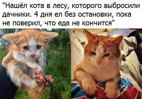 Смешная картинка №195310