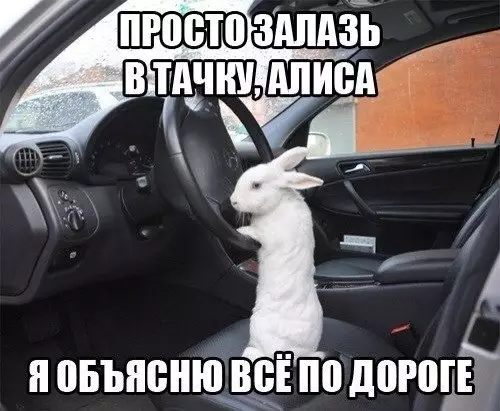 Смешная картинка №210048