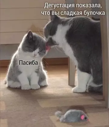 Смешная картинка №760995