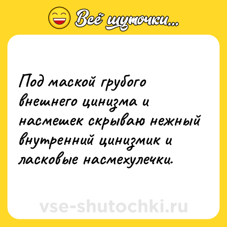 Шутка: Под маской грубого внешнего цинизма и насмешек скрываю нежный внутренний цинизмик и ласковые насмехулечки.