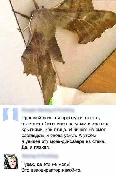 Смешная картинка №263156