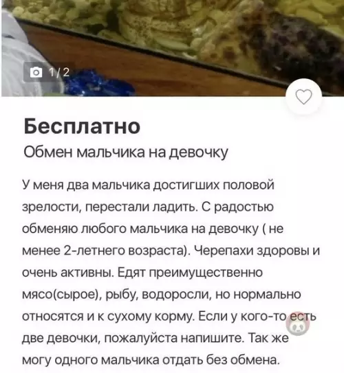 Смешная картинка №499715 Ну хоть в третьем предложении уточнил кого он меняет...