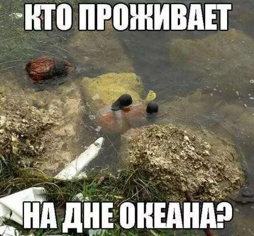 Смешная картинка №218913