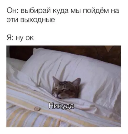 Лучший план на выходные существует! 😴 - Он: выбирай куда мы пойдём на эти выходные Я: ну