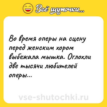 Шутка: Во время оперы на сцену перед женским хором выбежала мышка. Оглохли две тысячи любителей оперы…