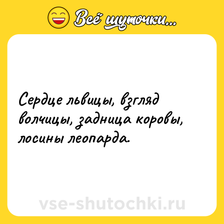 Шутка: Сердце львицы, взгляд волчицы, задница коровы, лосины леопарда.